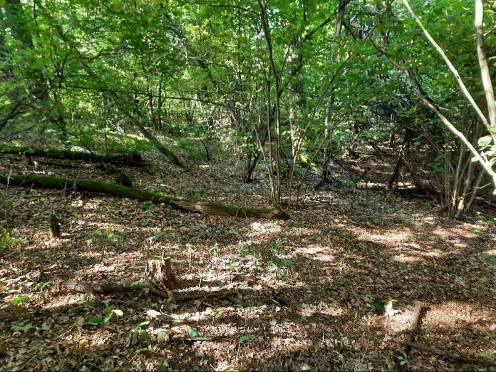 продажа земля коммерческого назначения Обуховский, Старые Безрадичи, 1841400 грн.  - изображение 3