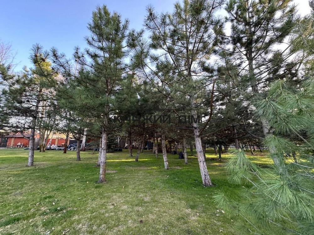 0% комісії Продаж земельної ділянки 25 сот мальовничому місці КТ Лісний КОД 264766 Київ - зображення 4