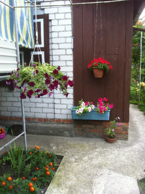 Подам дачу в садовому товаристві «Дніпровський залив « Кременчук - зображення 4