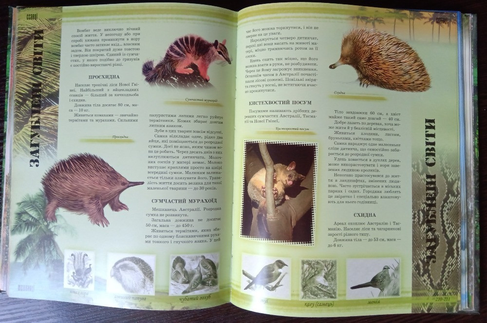 Книга Світ тварин. Львов - изображение 6