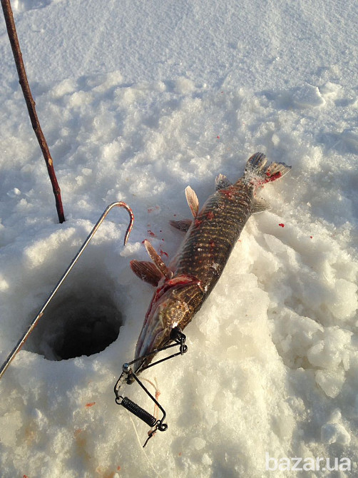 Двойной оцинкованный щучий капкан Финтрап. Снасть на щуку. Поймать щуку зимой. Щучий капкан Киев - изображение 5