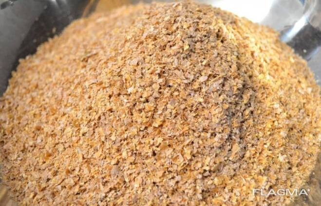 Продаємо висівки пшеничні Бровары - изображение 4