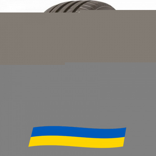 215/55 R18 Tracmax X-privilo TX3 99V Легкова шина Киев - изображение 1