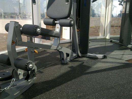 Резиновое рулонное покрытие Fitness для тренажерного зала 1,25 х 10 м.п. Київ - зображення 2