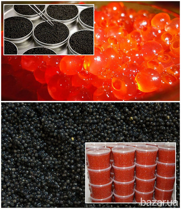 Икра красная и черная имитированная. Опт и розница Дніпро - зображення 1