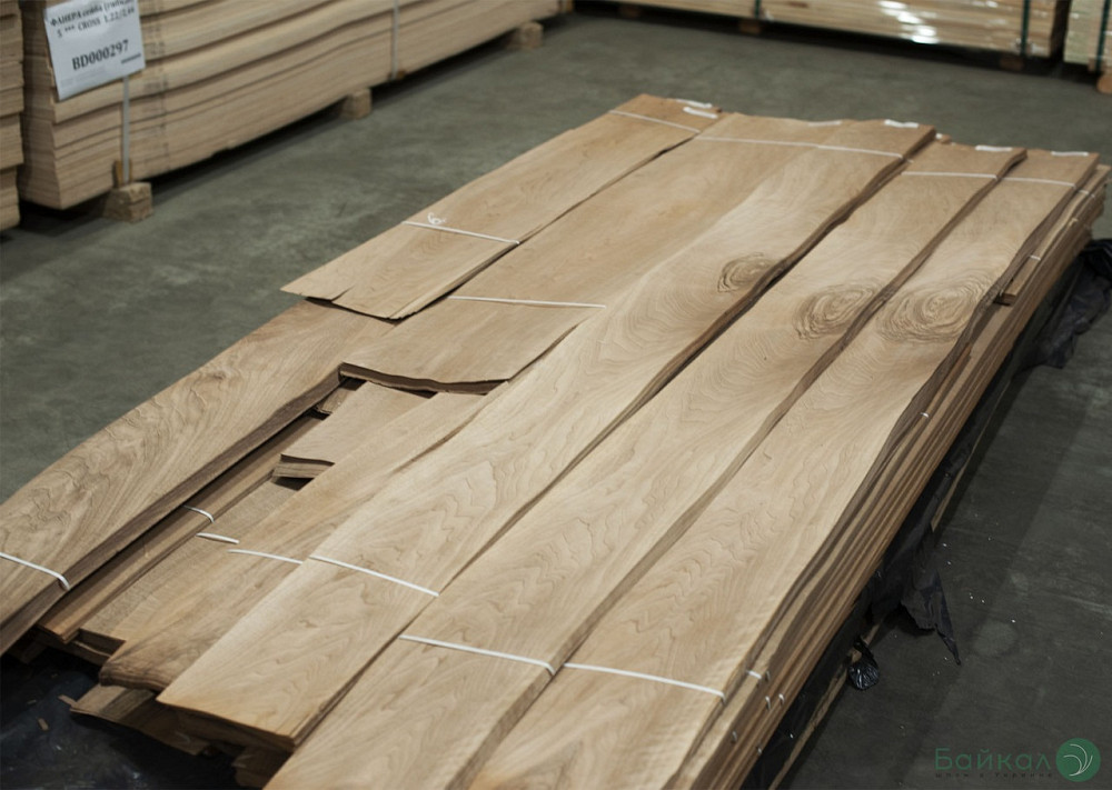 Шпон орех европейский Київ - зображення 1