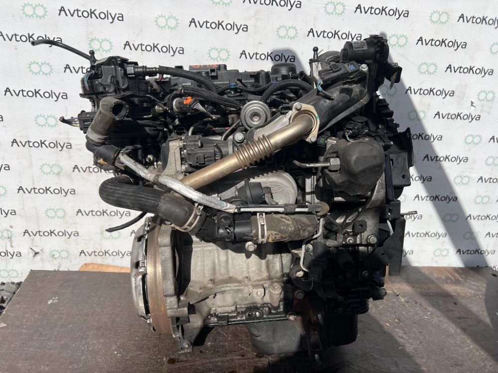 Двигатель Ford Fiesta 1.6 tdci 2015-2017 (XUJA) Ковель - изображение 5