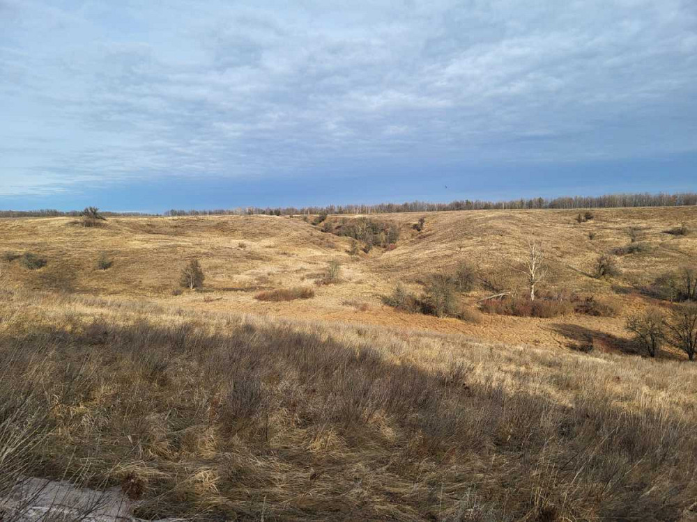 продажа земля сельскохозяйственного назначения Васильковский, Великая Бугаевка, 387000 грн.  - изображение 2