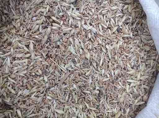 Купую на постійній основі некондиційне зерно, зерновідходи Харків