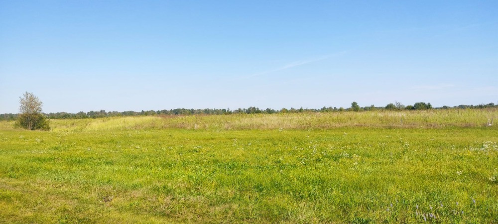 Терміновий продаж ділянки біля КМ “ Гавань”! Вишгород - зображення 1