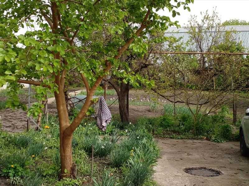 продажа 4-к дом Кропивницкий, Подольский, 1331675 грн. Кропивницький - зображення 4