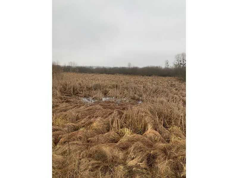 продажа земля сельскохозяйственного назначения Бориспольский, Головуров, 220362 грн.  - зображення 2