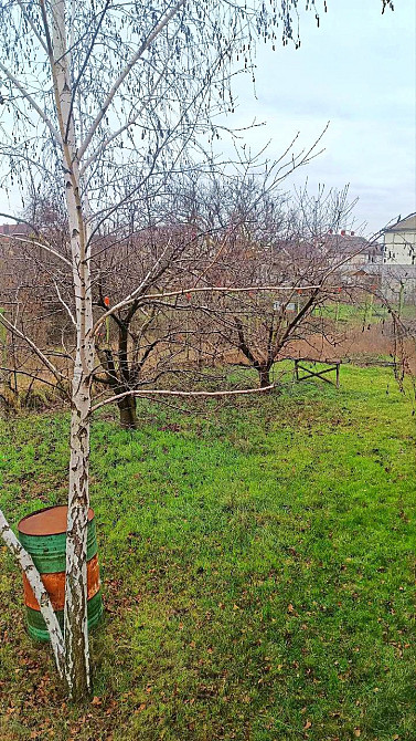 Дом с подвалом участок 20 соток Одеса - зображення 6