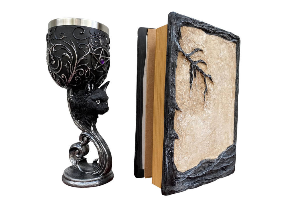 Подарочный набор Бокал 3 Кот и Блокнот 3 «Тень Ворона» Київ - зображення 4