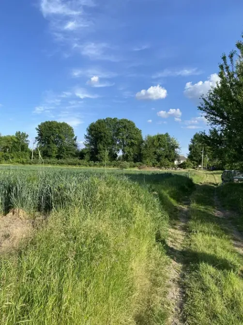Продам земельну ділянку під забудову Умань - зображення 4