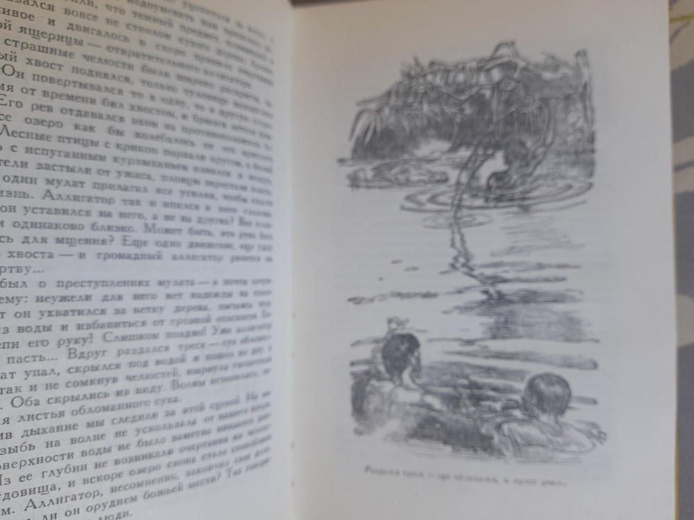 Майн Рид Оцеола вождь семинолов 1959 Библиотека приключений фантастика Запоріжжя - зображення 6