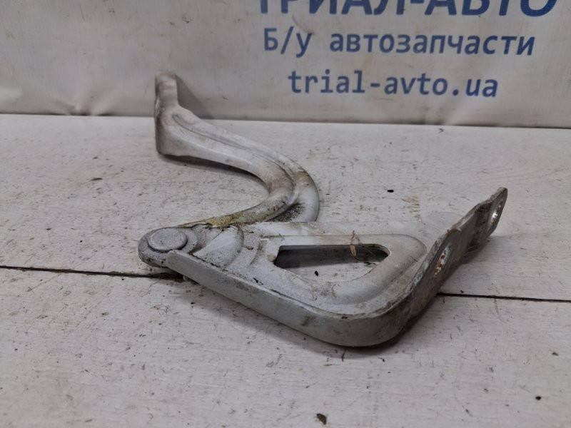 Петля капота левая Hyundai Ioniq 2016-  (Арт. 80833) Київ - зображення 3