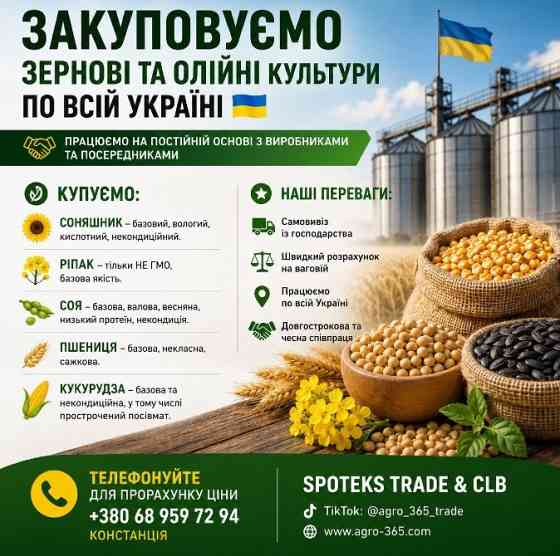 Закупка зернових, олійних, бобових. База, некондиція Харків