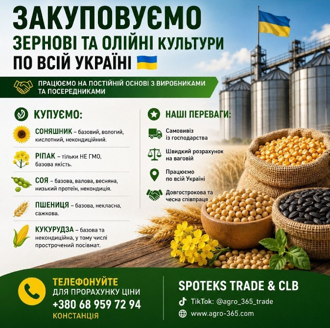 Закупка зернових, олійних, бобових. База, некондиція Харків - зображення 1