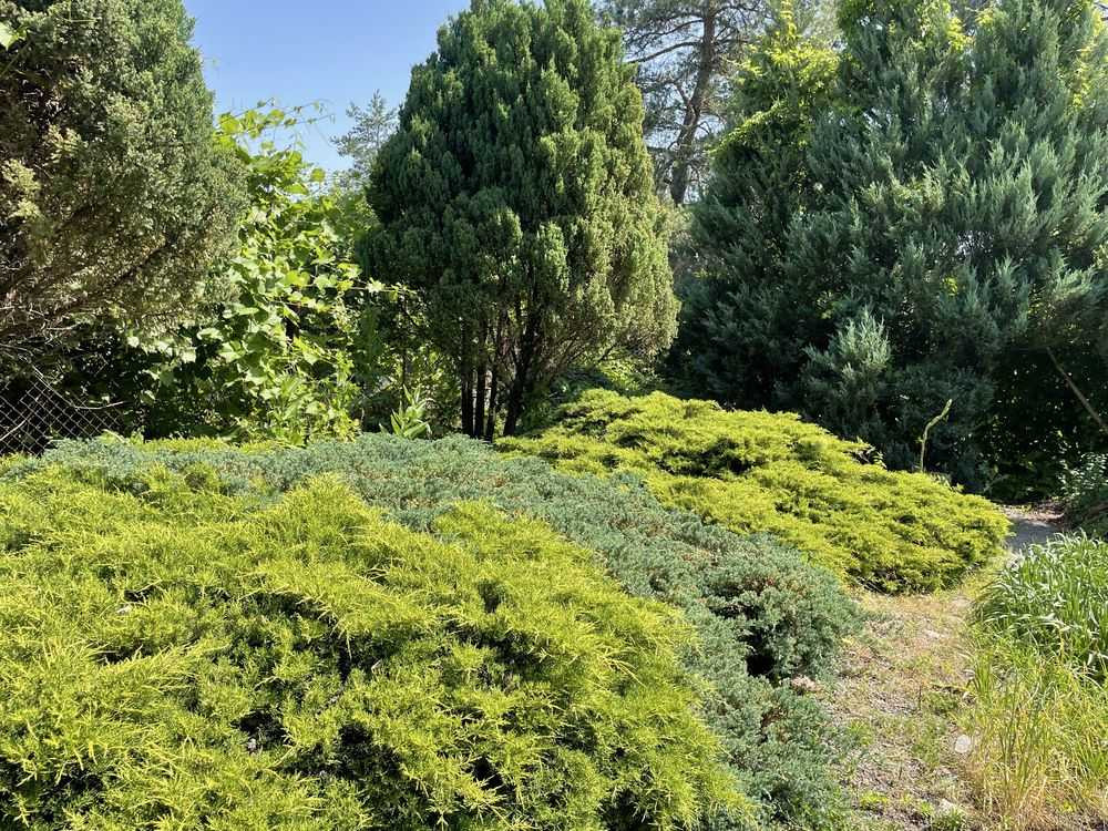 продажа 3-к дом Днепр, Обуховка, 63000 $  - зображення 8