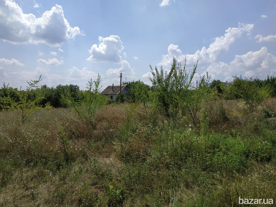 Предлагаю купить дачный участок на берегу ставка в Антоновке. Дніпро - зображення 5