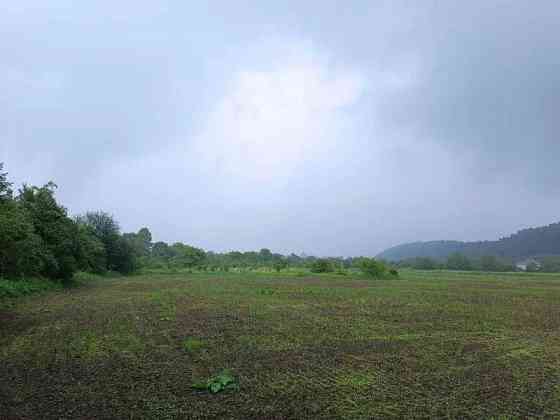 продажа участок под жилую застройку Галичский, Залуква, 123988 грн. 