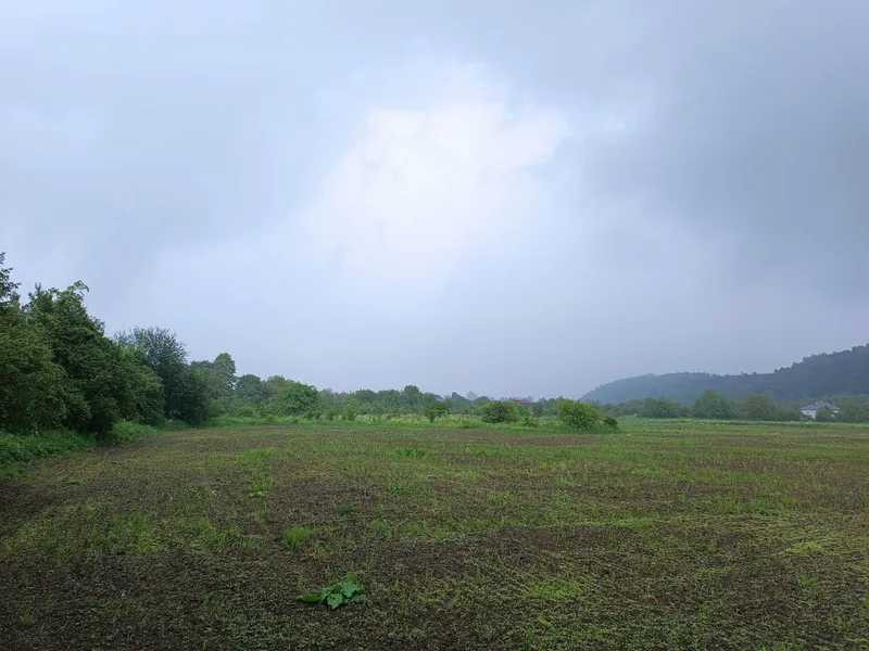 продажа участок под жилую застройку Галичский, Залуква, 123988 грн.  - изображение 1