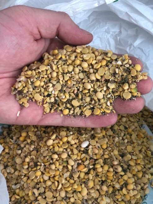 Купую половинки сої. Купую відходи кукурудзи Полтава - зображення 1