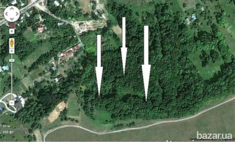 Иванковичи 200 соток в лесу Васильків - зображення 1