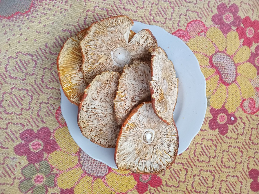 Червоний мухомор, сушений 2 сорт Овруч - изображение 6