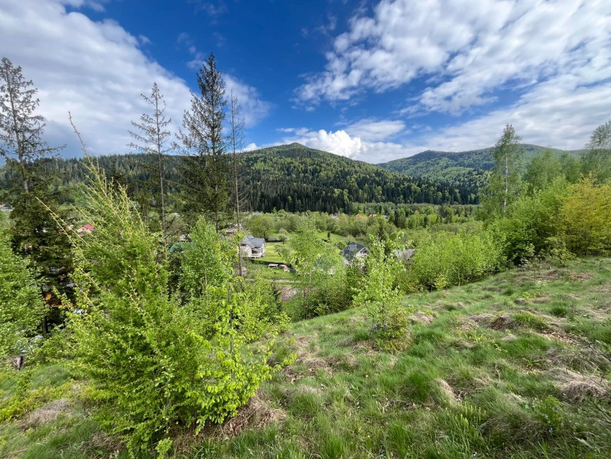 Земельна ділянка в Микуличині 0.19 га. Яремче - зображення 8