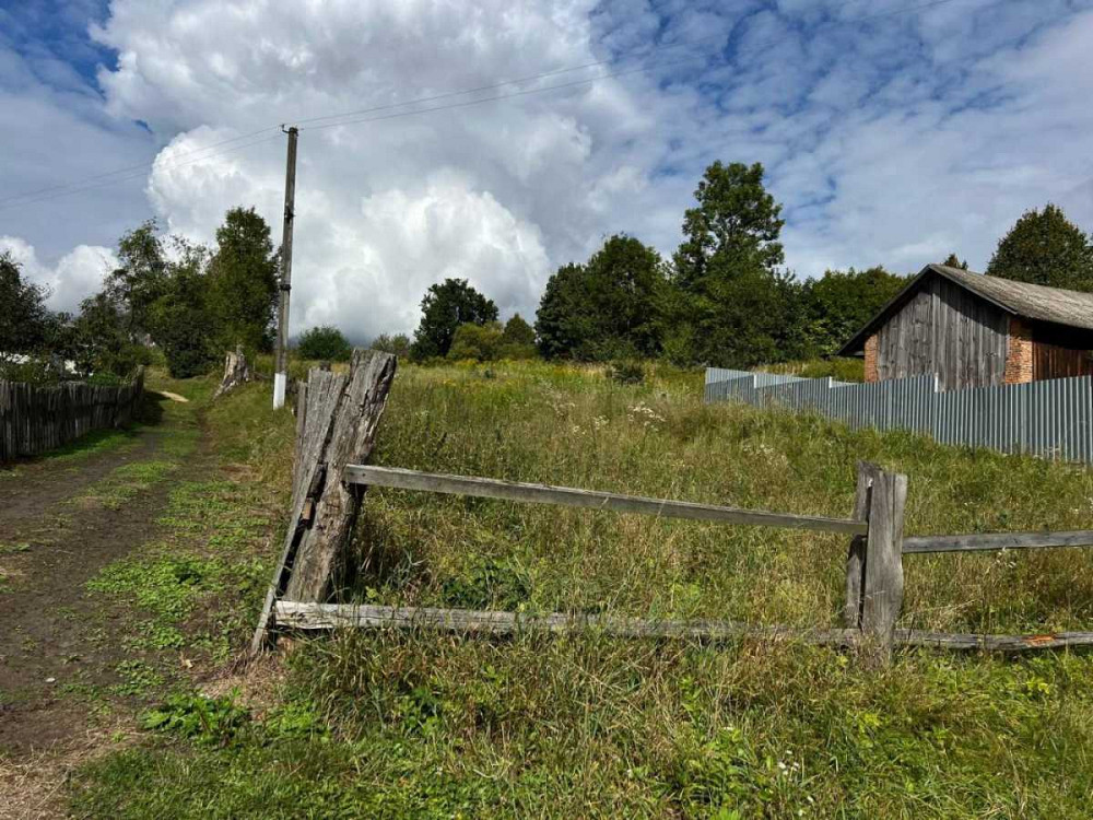 продажа земля сельскохозяйственного назначения Яворовский, Яворов, 13500 $ Яворів - зображення 3