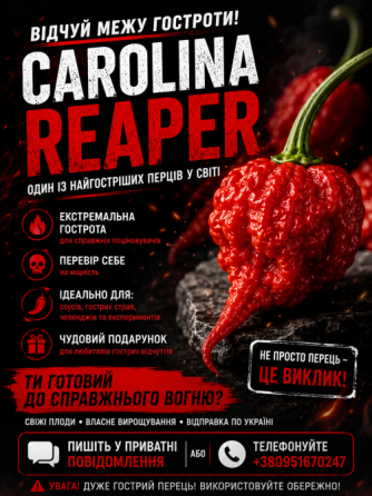 Свіжі плоди Carolina Reaper — прямо з грядки! Кароліна ріпер Долинская