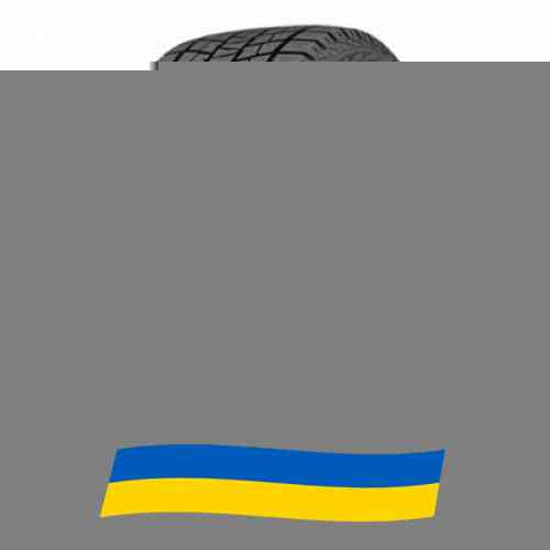 235/55 R19 Kapsen IceMax RW501 105H Легкова шина Київ