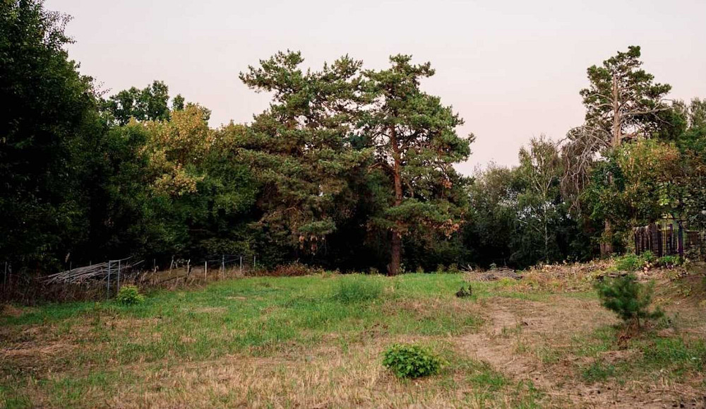 продажа участок под жилую застройку Обуховский, Плюты, 137000 $  - изображение 8