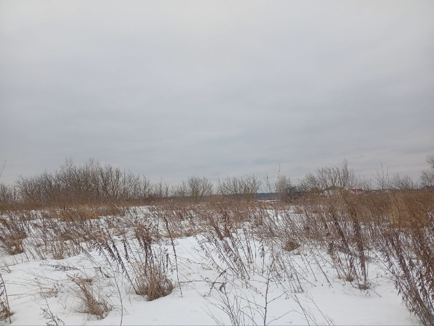 Княжичі. Продам 18сот під осг, район нових забудов, вигідна пропозиція Бровари - зображення 2