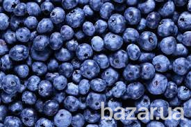 Чорничний порошок порошок із ягід чорниці Київ - зображення 1