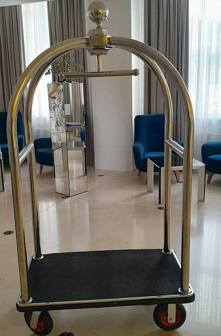 X-110 Тележка для багажа, матовое золото Київ - зображення 1