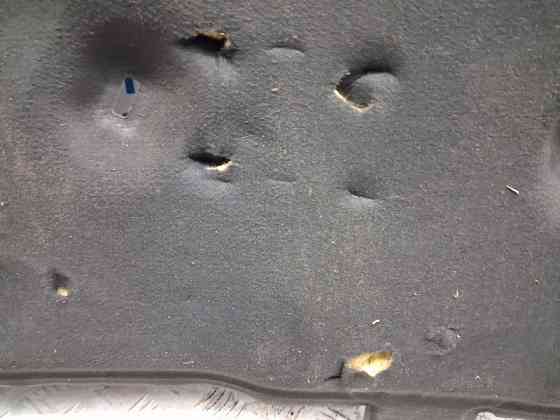 Обшивка капота Ford Fusion USA 2 1.5 БЕНЗИН ENUN0 2013 (б/у) Киев