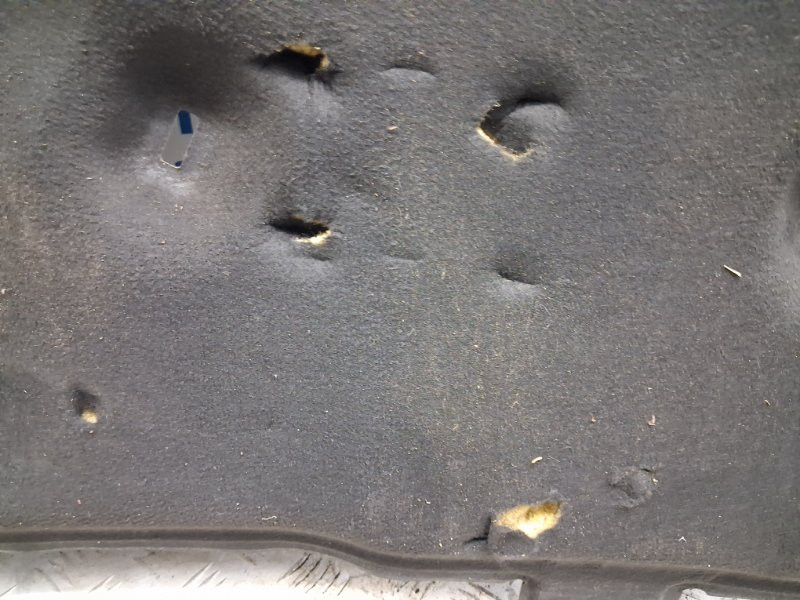 Обшивка капота Ford Fusion USA 2 1.5 БЕНЗИН ENUN0 2013 (б/у) Киев - изображение 3