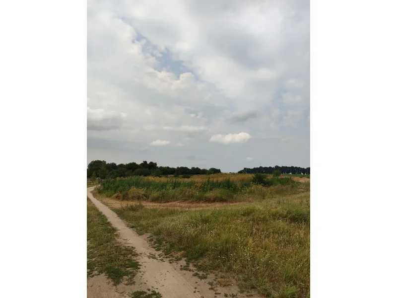 продажа земля сельскохозяйственного назначения Бородянский, Лубянка, 11893757 грн.  - зображення 8