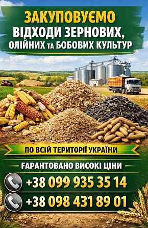 Купуємо зерновідходи, некондицію зернових та олійних Киев