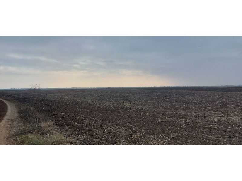 продажа земля сельскохозяйственного назначения Нововоронцовский, Нововоскресенское, 259505 грн.  - зображення 1