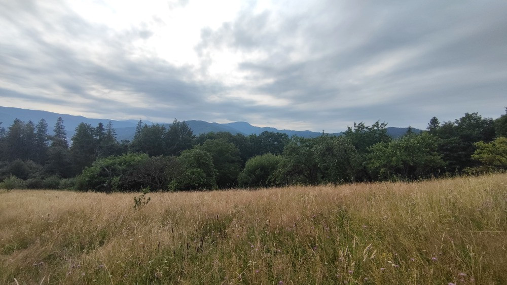 Земельна ділянка в Яремче 0.76 га Яремче - зображення 4