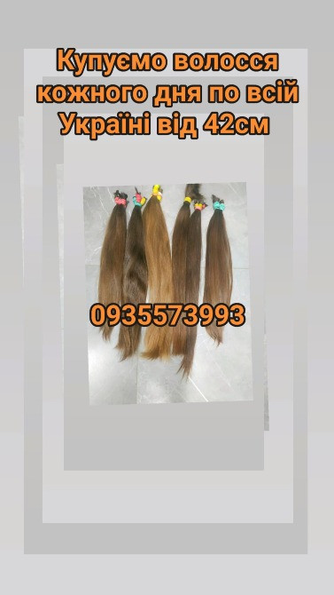 Купуємо волосся кожного дня по всій Україні від 42см -0935573993 Дніпро - зображення 1
