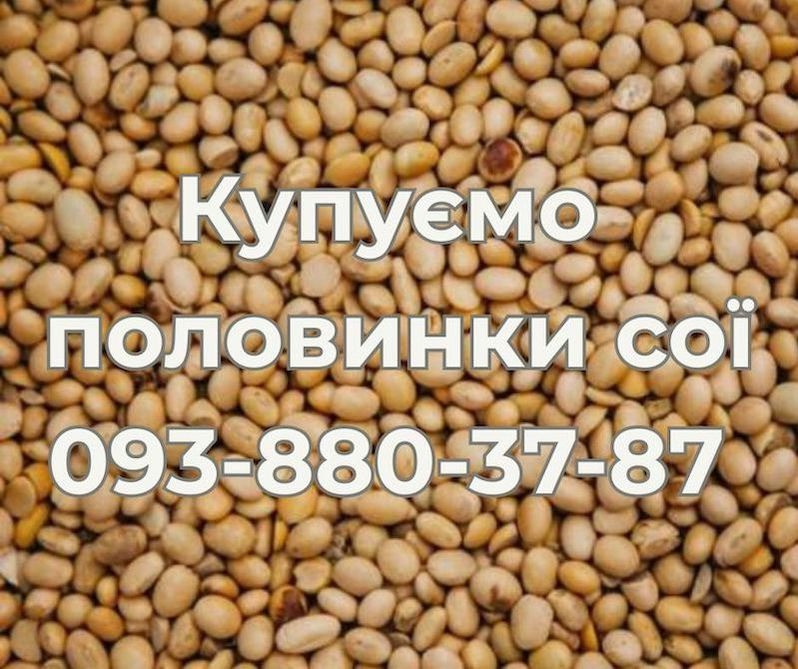 Закуповуємо половинки сої — стабільно та вигідно Одеса - зображення 1