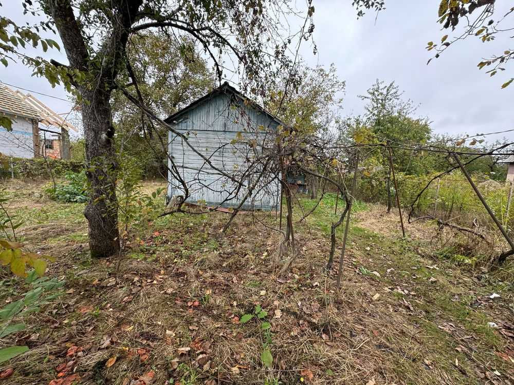 продажа земля сельскохозяйственного назначения Бориспольский, Чубинское, 18000 $  - зображення 5