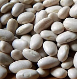 Куплю фасоль. Закупаю фасоль. Чернівці