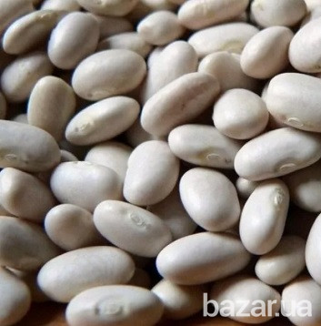 Куплю фасоль. Закупаю фасоль. Чернівці - зображення 1