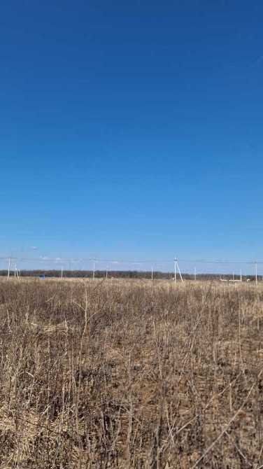 продажа земля сельскохозяйственного назначения Белоцерковский, Белая Церковь, 15000 $ Белая Церковь - изображение 3